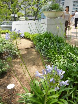 �A�K�p���T�X