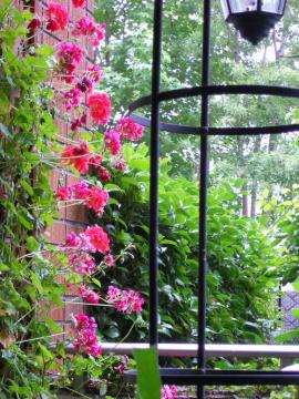 �e���X�̃A�C�r�[�E�[���j�E��