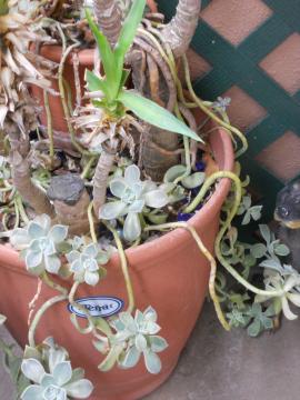 �����A��