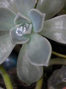 �����A��