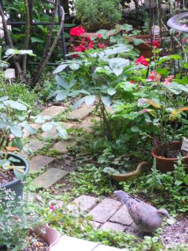 �u���͂悤�I�v�n�g����