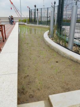 �����Ă̐��c