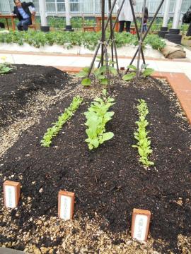 ��サ��ȁE�����l�\���卪�E�ۗt�Ȃ��ˍ�