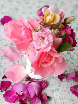 �����̃A�����W