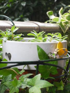 �t�����[�t�F�A���[�E�E�E�́A����E�E�E