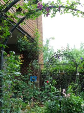 �����̃}�C�K�[�f��