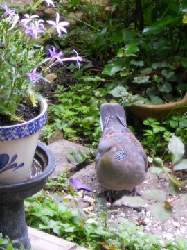 �₟�I���͂悤