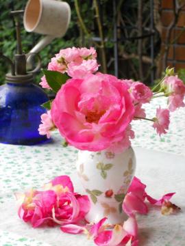 �����̃A�����W