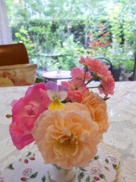 �����̃A�����W�Ɨ[���̒�