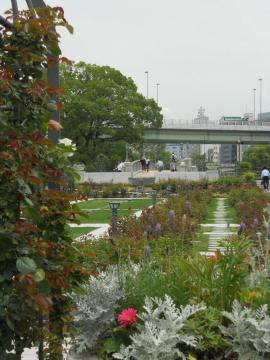 ���V���K�N��