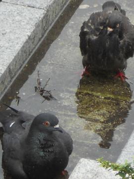 �n�g�̐�����