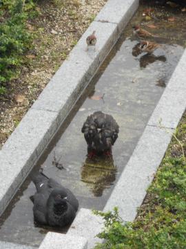 �݂�Ȉꏏ�ɐ�����