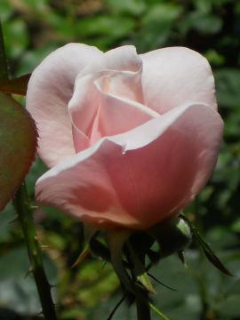 �I�[�h���[�w�b�v�o�[��