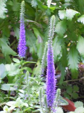 ���O�m�ꂸ�̂킫��