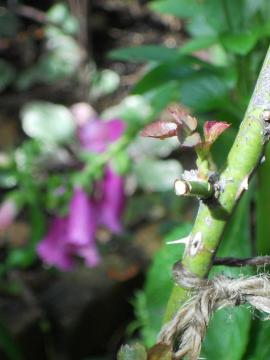 �V������