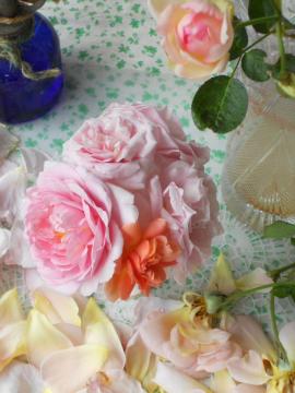 �����̃A�����W�ƃ����T�[���̕Ԃ�炫