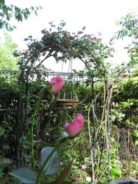 �����T�[���A�[�`��Ղ�