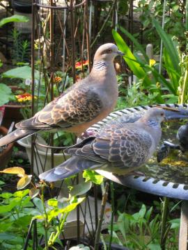 �y�A�Œ��H��