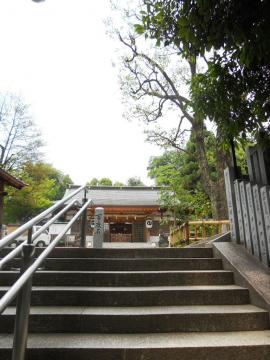 �ĉz���̑��P��