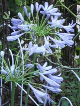 �A�K�p���T�X