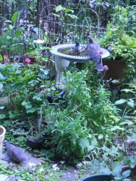 �n�g�����̗[�H