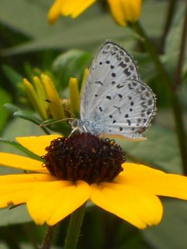 �����V�W�~