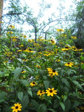 ����Ԍ��C�ȋe