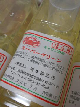 ���`�̖����I�L�g�T���n�t