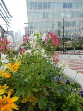 ���w�ŏ�K�_��