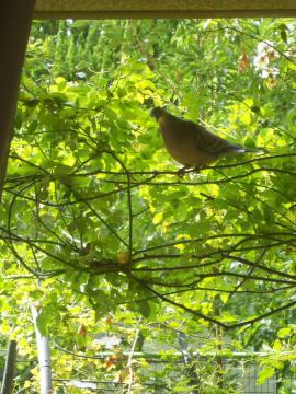 �J�[�e�����J����ƁA���͂悤�I