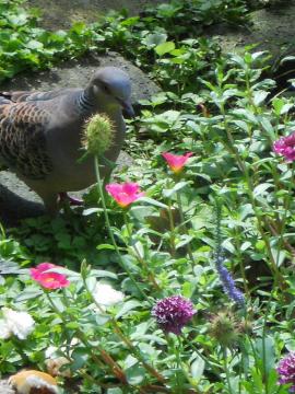 ���H�^�C��