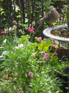 �����������܁I