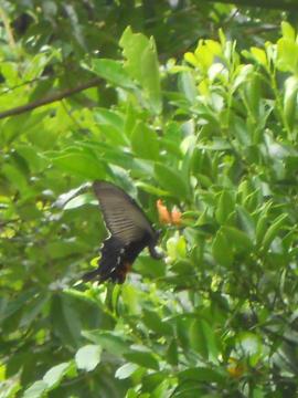 �N���A�Q�n