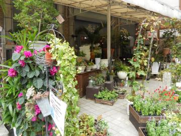 ���ԉ�����