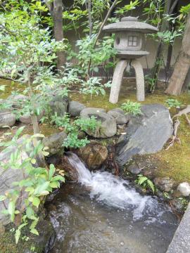 ���͉Ɠ��̒뉀