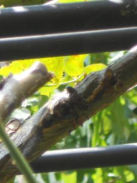 ���Đ�͂ǂ��ł��傤�H