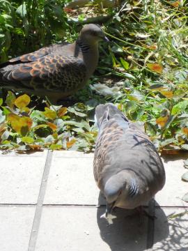 ����l����A��������Ⴂ�I