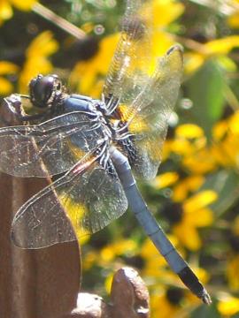 �����ƁB�B�B