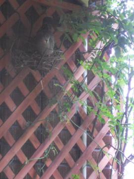 �ڂ��͔���I