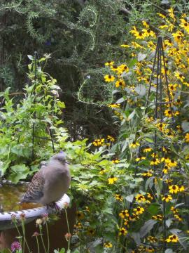 ���ꂭ�炢�̕��A���v��I