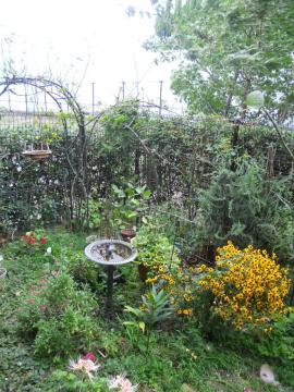 �����̒�