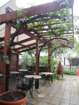 ���ււނ�����