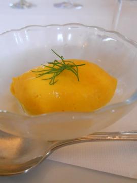 �j���W���̃��[�X