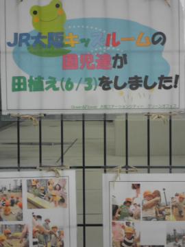 �c�A���̋L�^