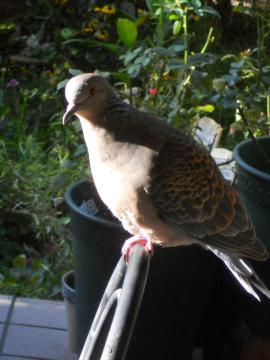 �����������I