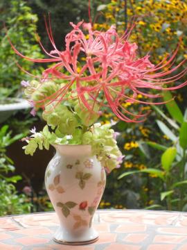 �ފ݉ԂƃI���K�m�P���g�t�H�[���A