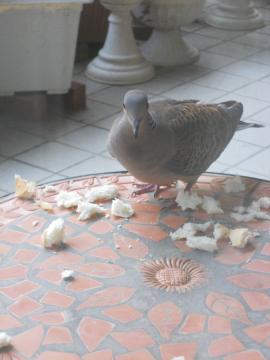 �����ł��H���E�E�E