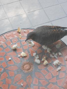 ���ɐH�ׂĂˁE�E�E