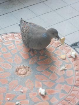 ���������́H