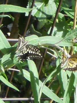 ��C�Œ��ǂ��x�e